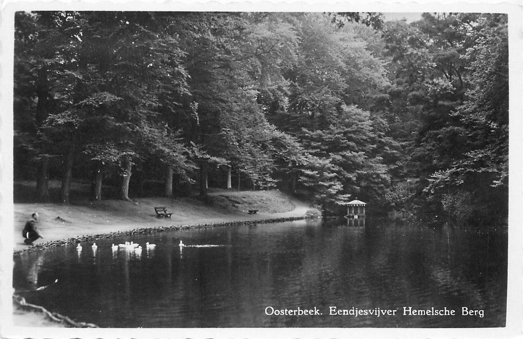 Oosterbeek Eendjesvijver Hemelsche Berg