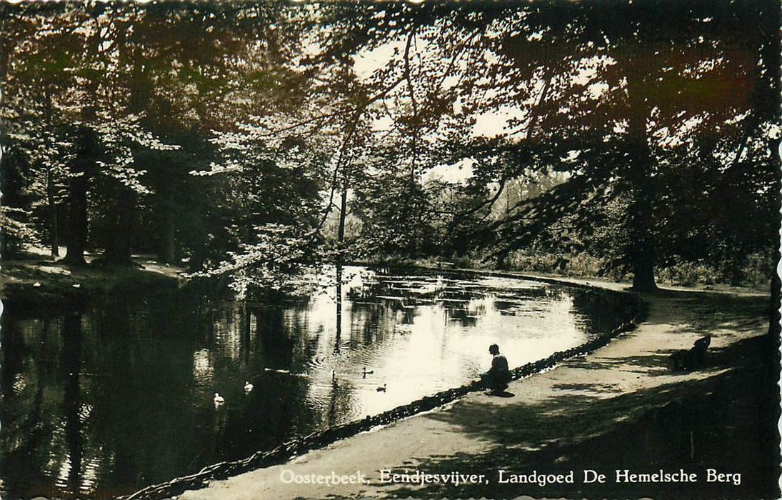 Oosterbeek Eendjesvijver Hemelsche Berg