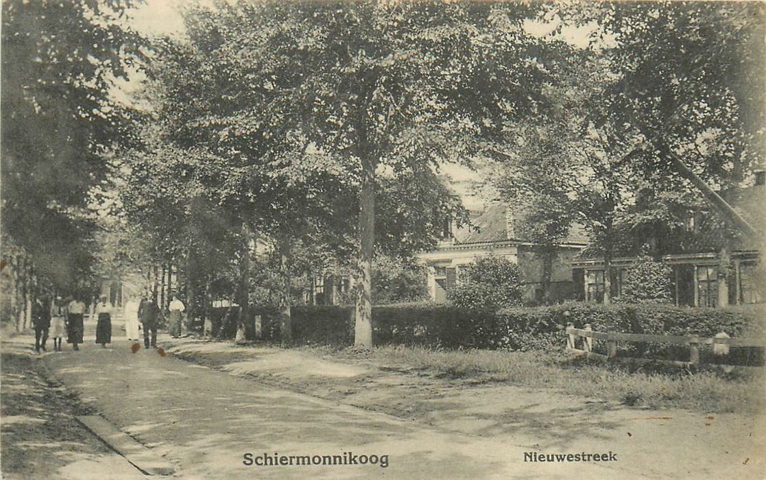 Schiermonnikoog Nieuwestreek