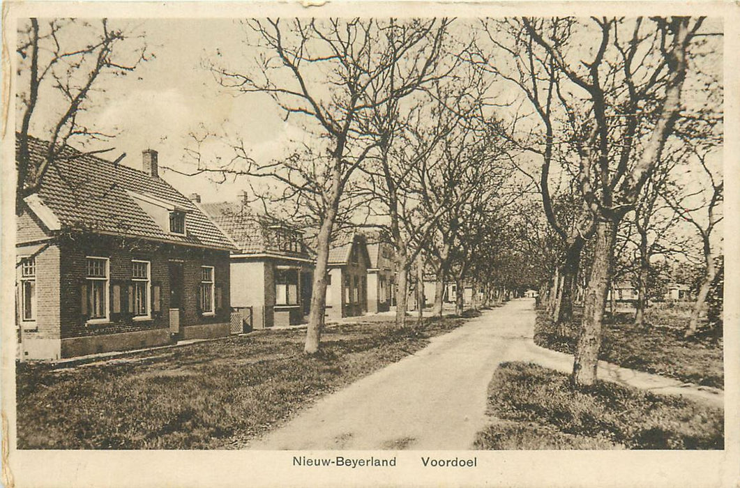 Nieuw-Beijerland Voordoel