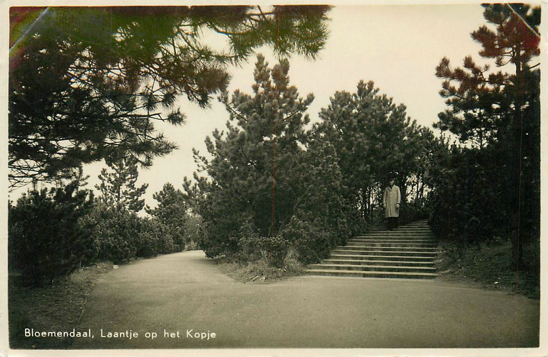 Bloemendaal  Laantje op het Kopje