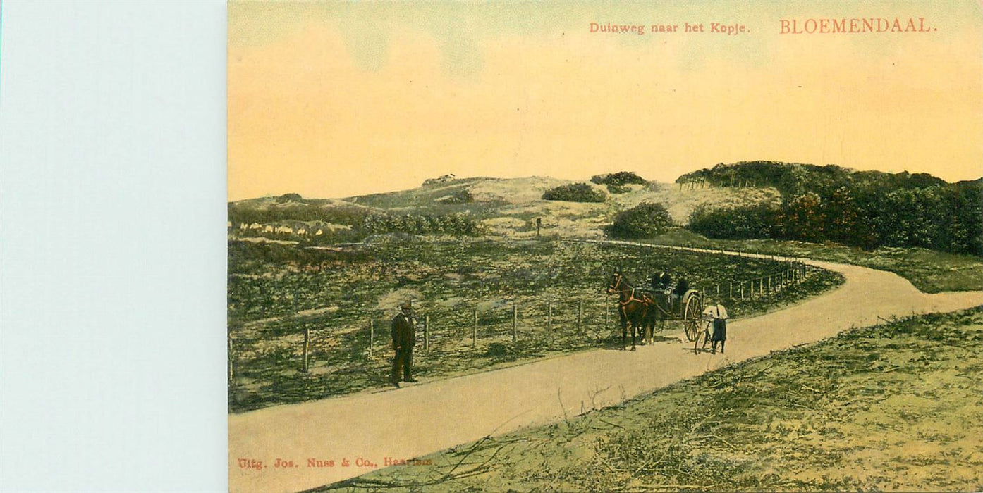 Bloemendaal  Duinweg naar het Kopje