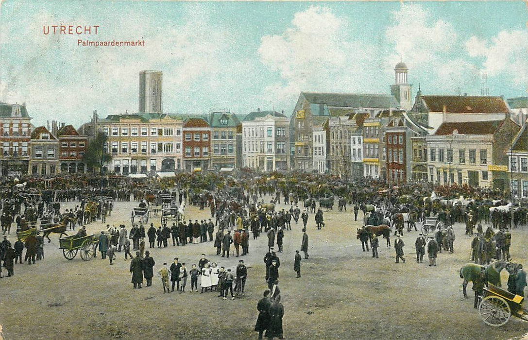 Utrecht Palmpaardenmarkt