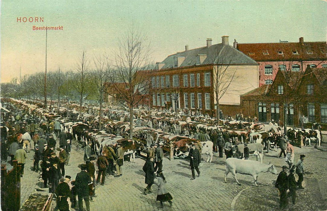 Hoorn Beestenmarkt