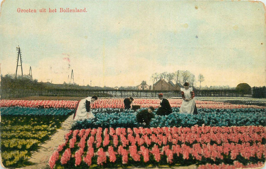 Bollenland