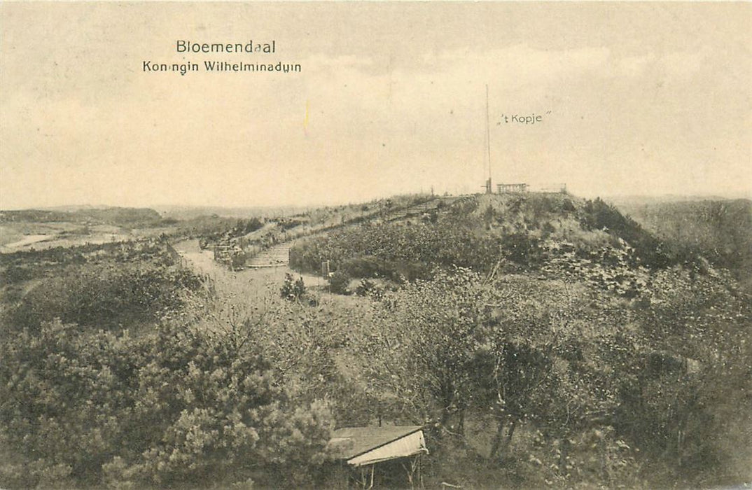 Bloemendaal  Koningin Wilhelminaduin