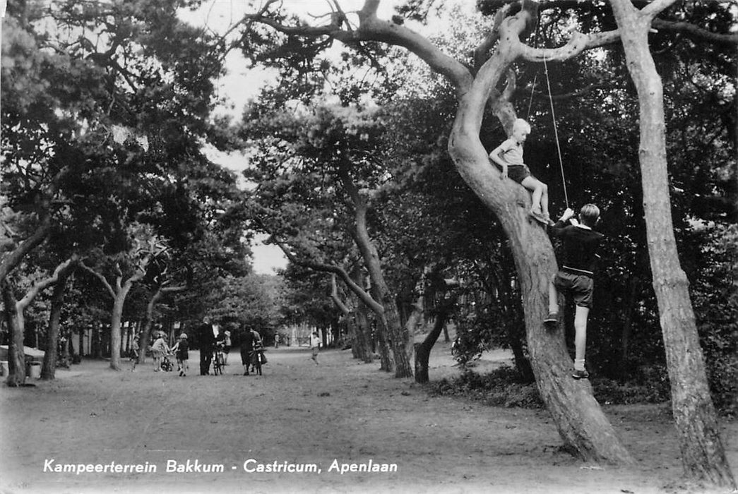 Castricum Kampeerterrein Bakkum