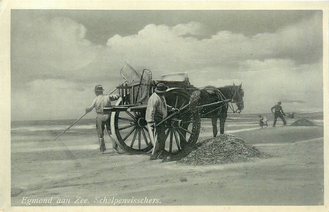 Egmond aan Zee Schelpenvissers