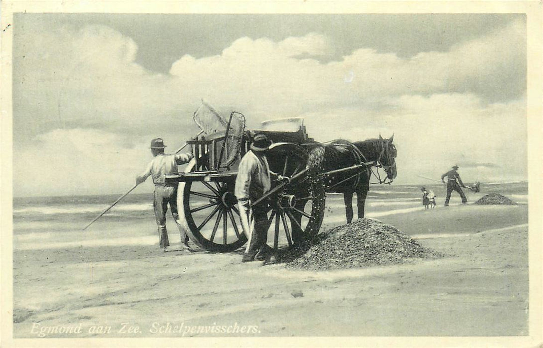 Egmond aan Zee Schelpenvissers