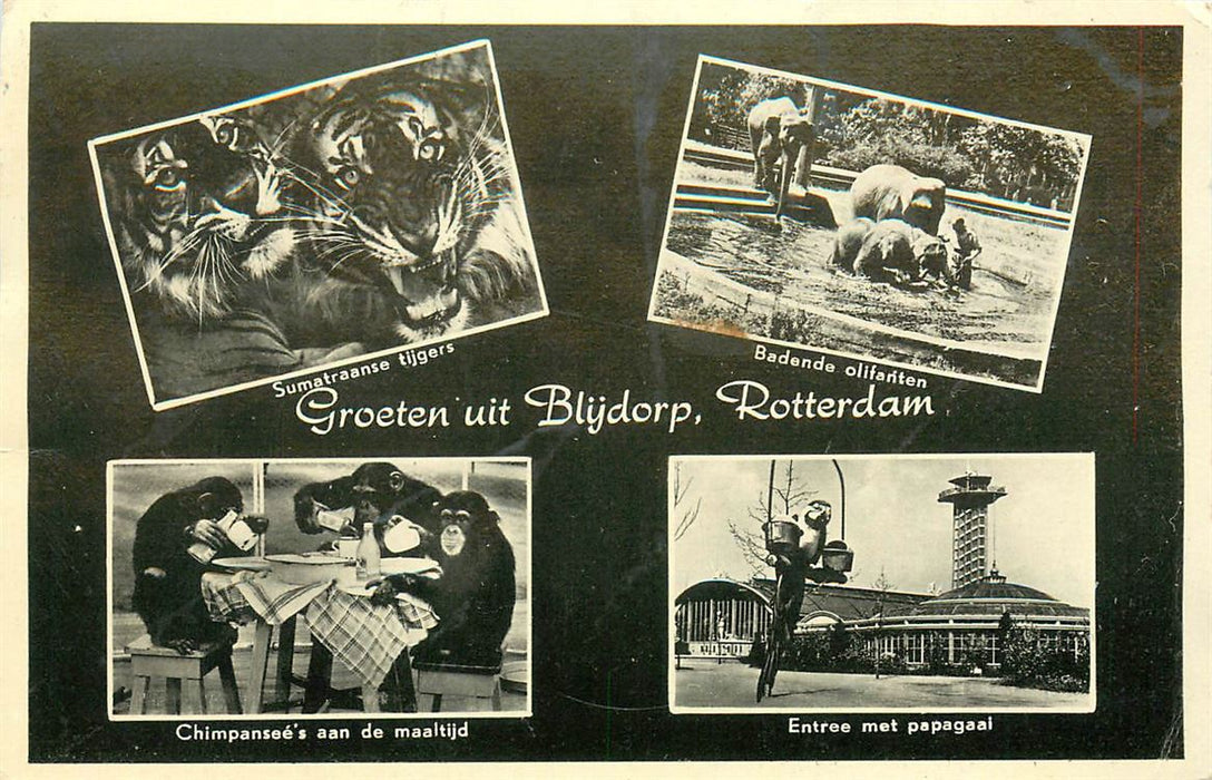 Rotterdam Blijdorp