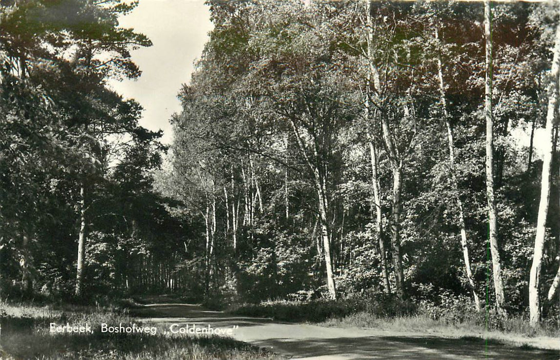 Eerbeek Boshofweg Coldenhove