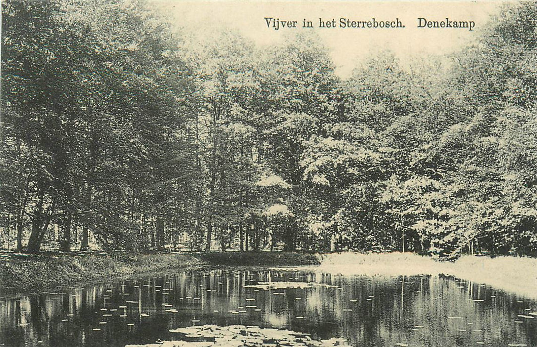 Denekamp Vijver in het Sterrebosch