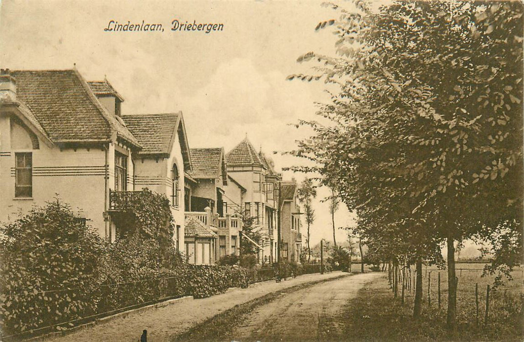 Driebergen Lindenlaan