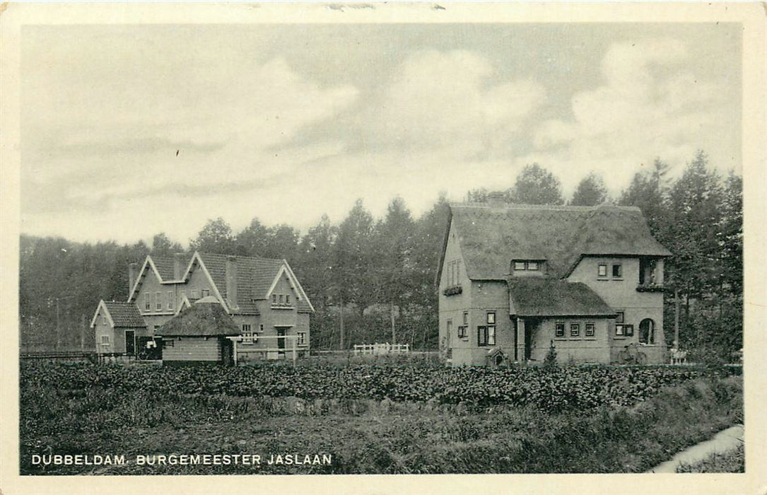 Dordrecht Burg Jaslaan Dubbeldam