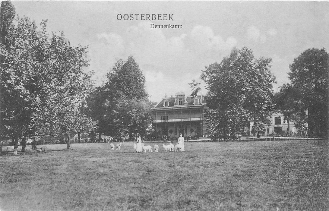 Oosterbeek Dennenkamp