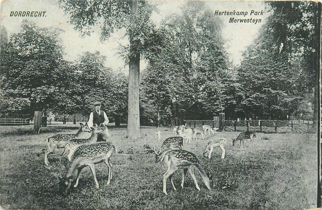 Dordrecht Park Merwesteijn