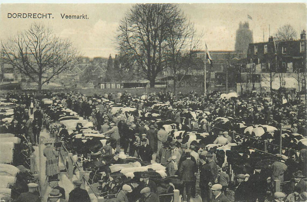 Dordrecht Veemarkt