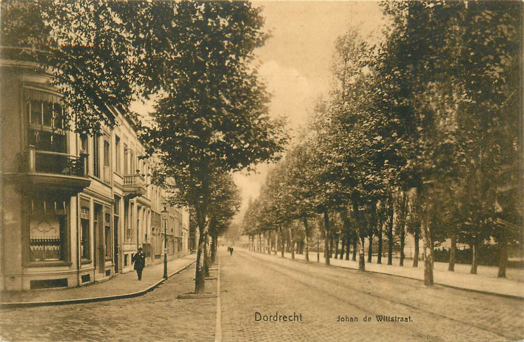 Dordrecht Johan de Wittstraat