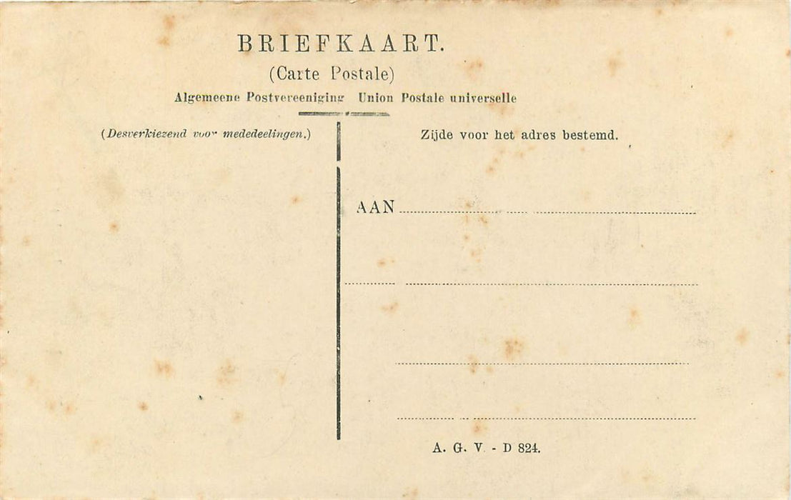 Dordrecht Brand 1906