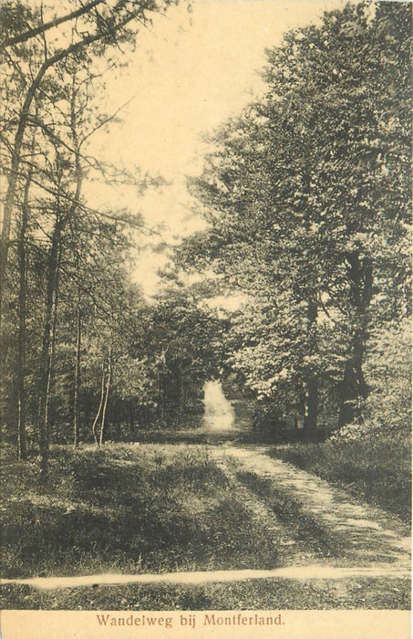 Zeddam Wandelweg bij Montferland