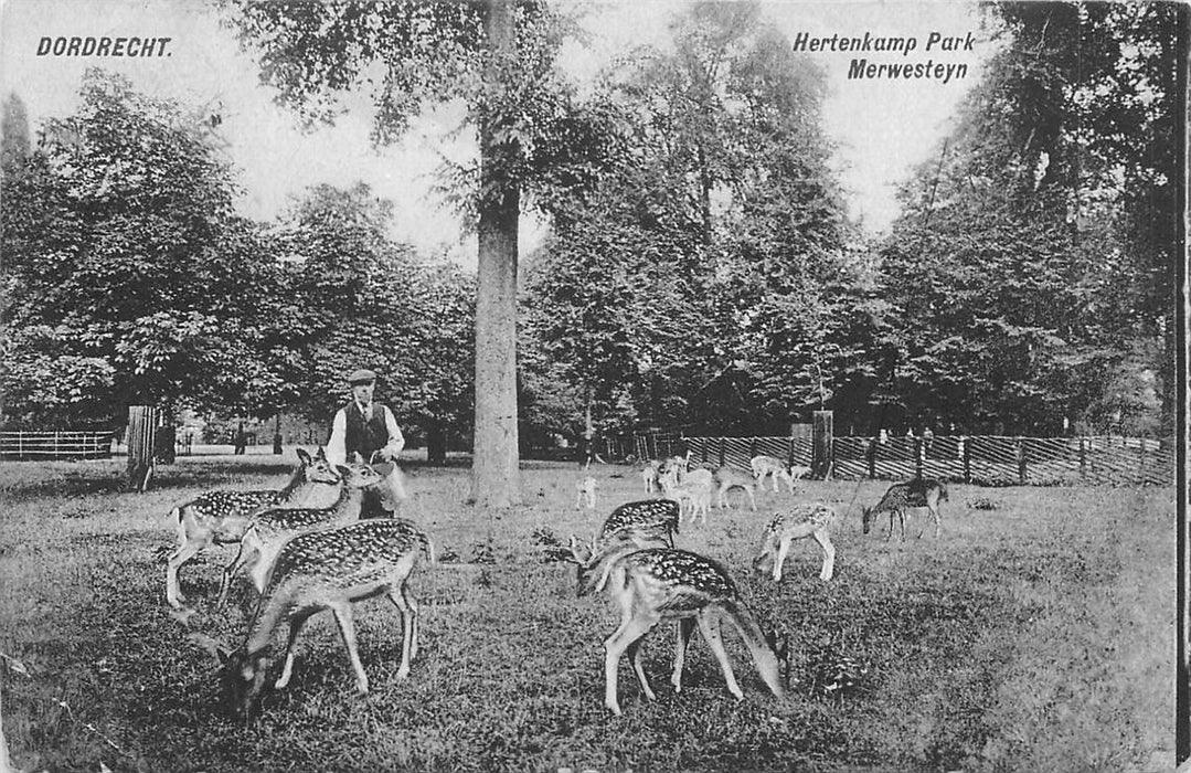 Dordrecht Park Merwesteijn