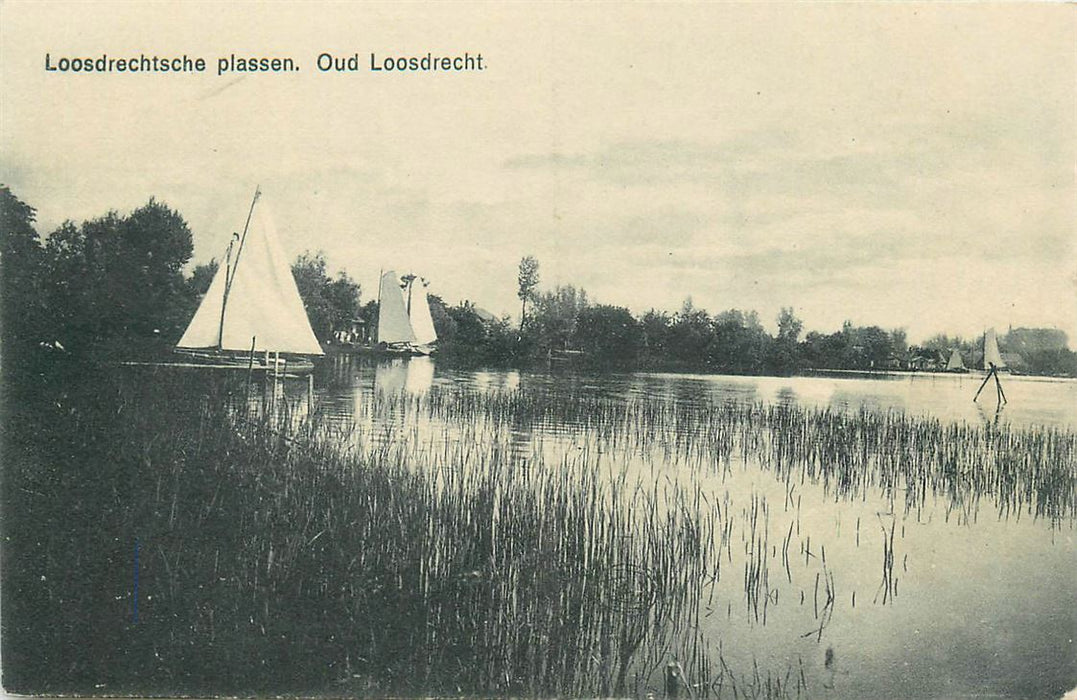 Oud Loosdrecht Loosdrechtsche Plassen