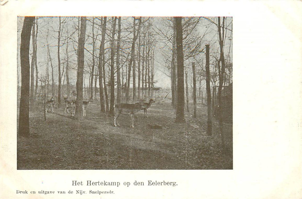 Nijverdal Eelerberg