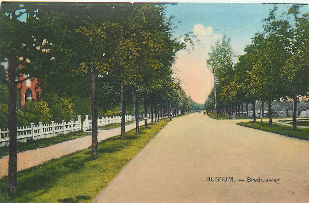 Bussum Brediusweg