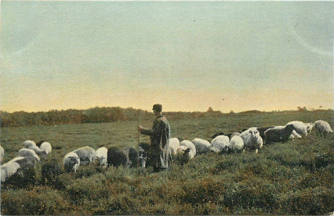Drenthe
