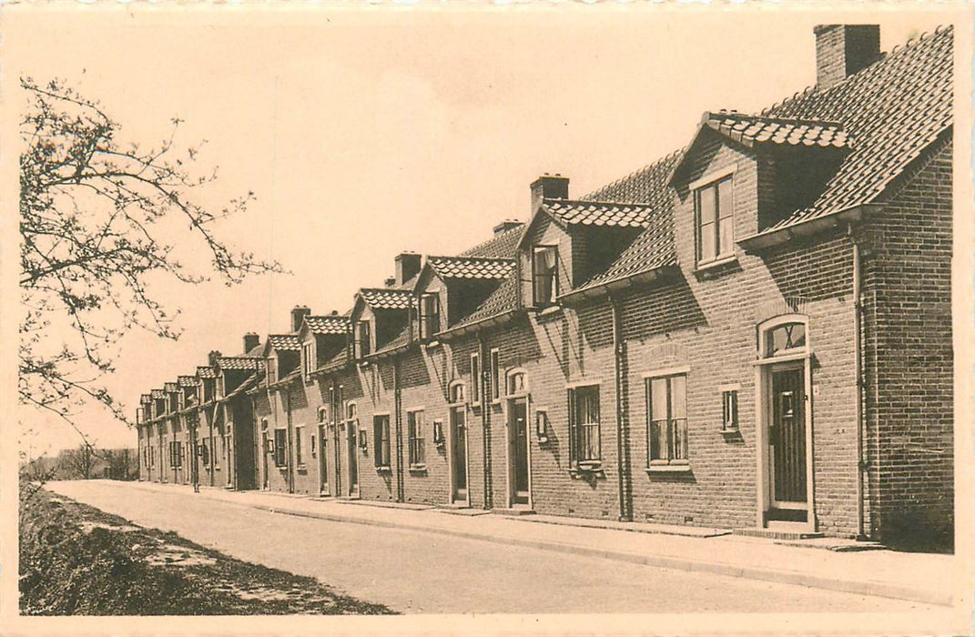 Rozenburg Wilhelminastraat