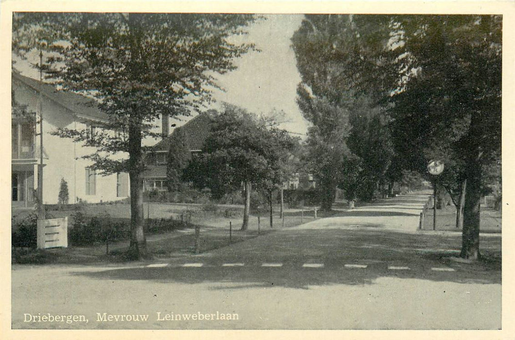 Driebergen Mevrouw Leinweberlaan