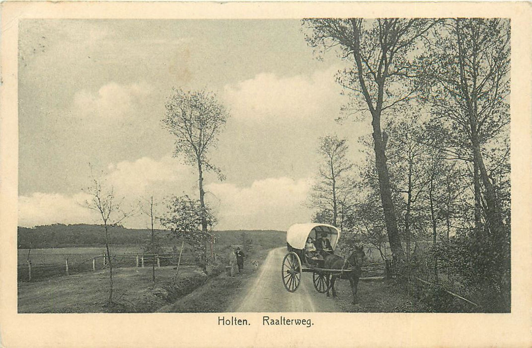 Holten Raalterweg