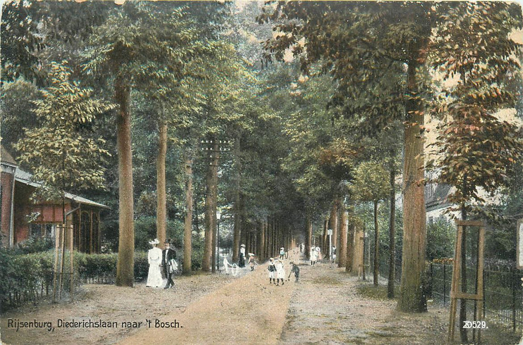 Rijsenburg Diederichslaan