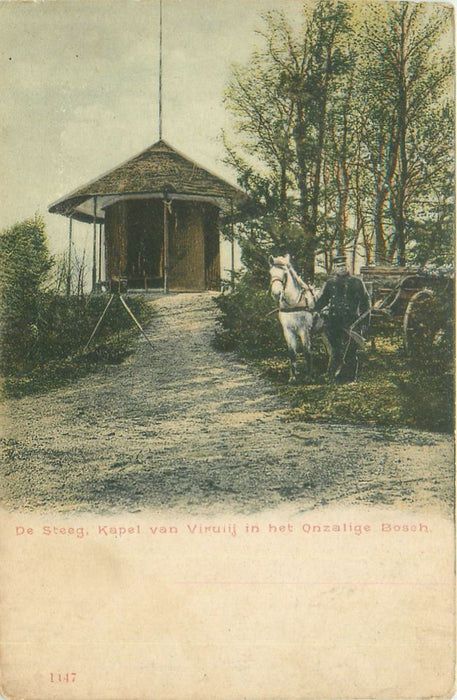 De Steeg Koepel van Virulij