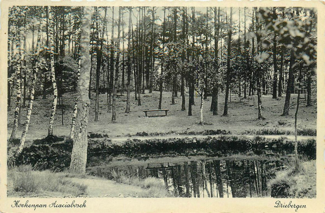 Driebergen Koekenpan Acaciabosch