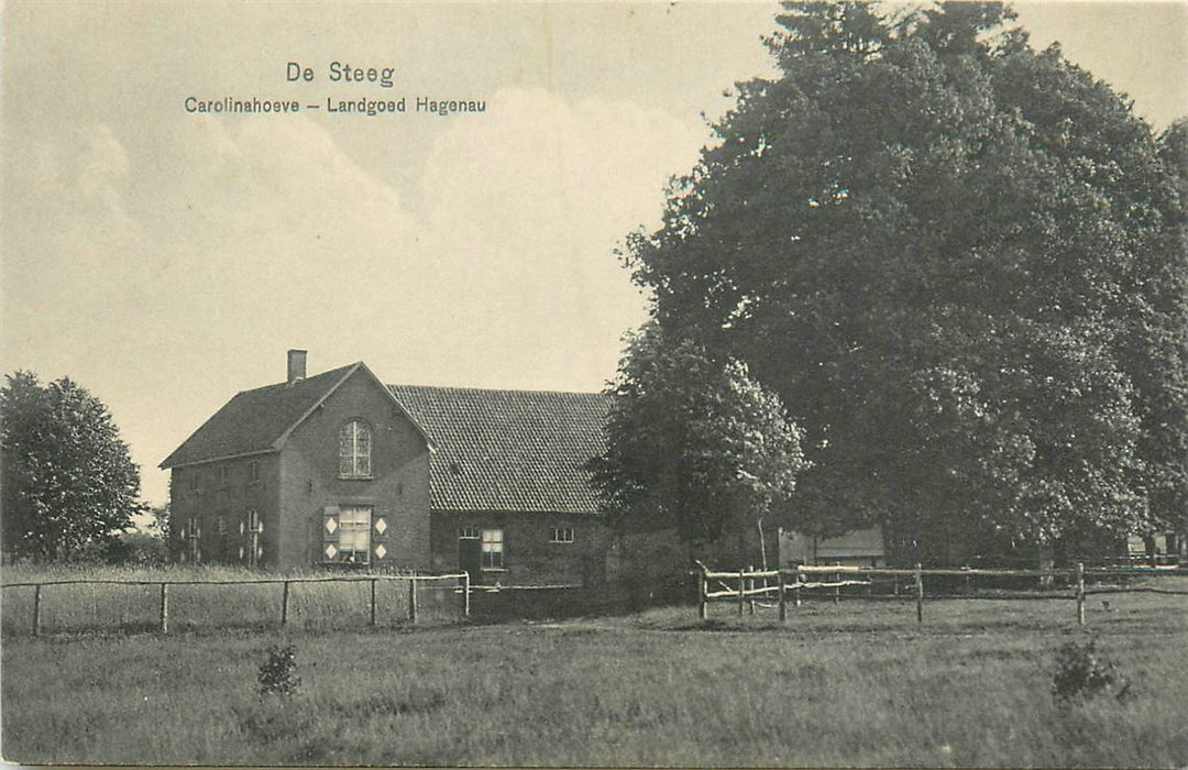 De Steeg Carolinahoeve