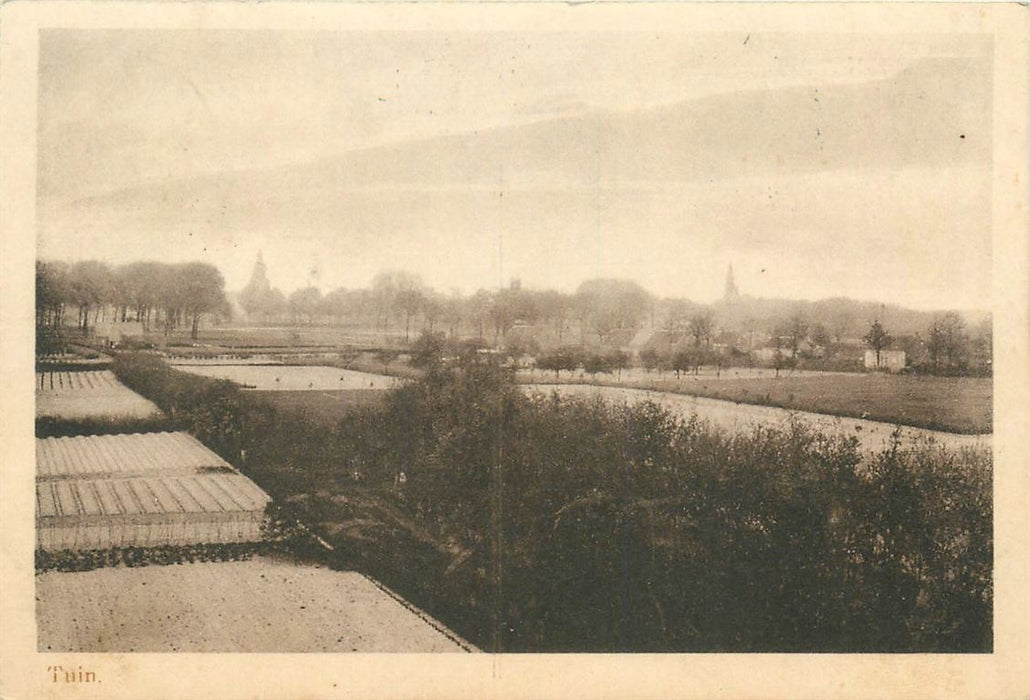 Bergen op Zoom Juvenaat