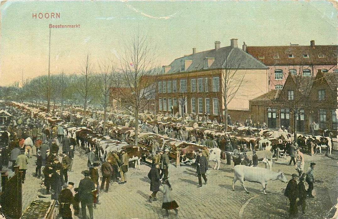 Hoorn Beestenmarkt