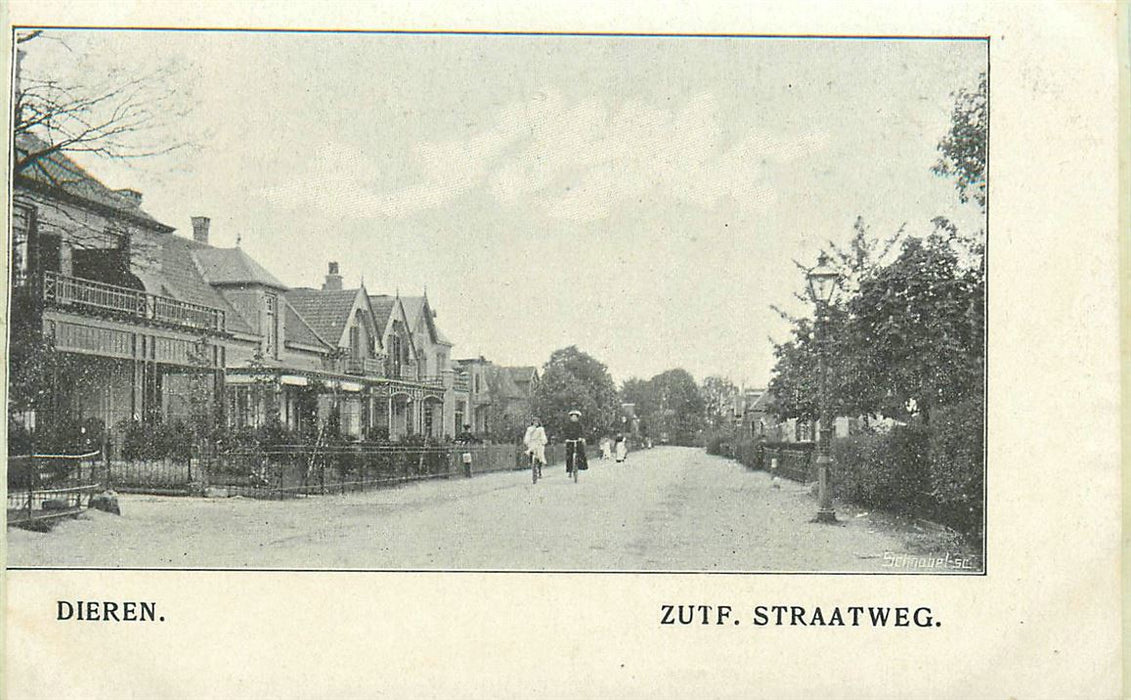 Dieren Zutphensche Straatweg