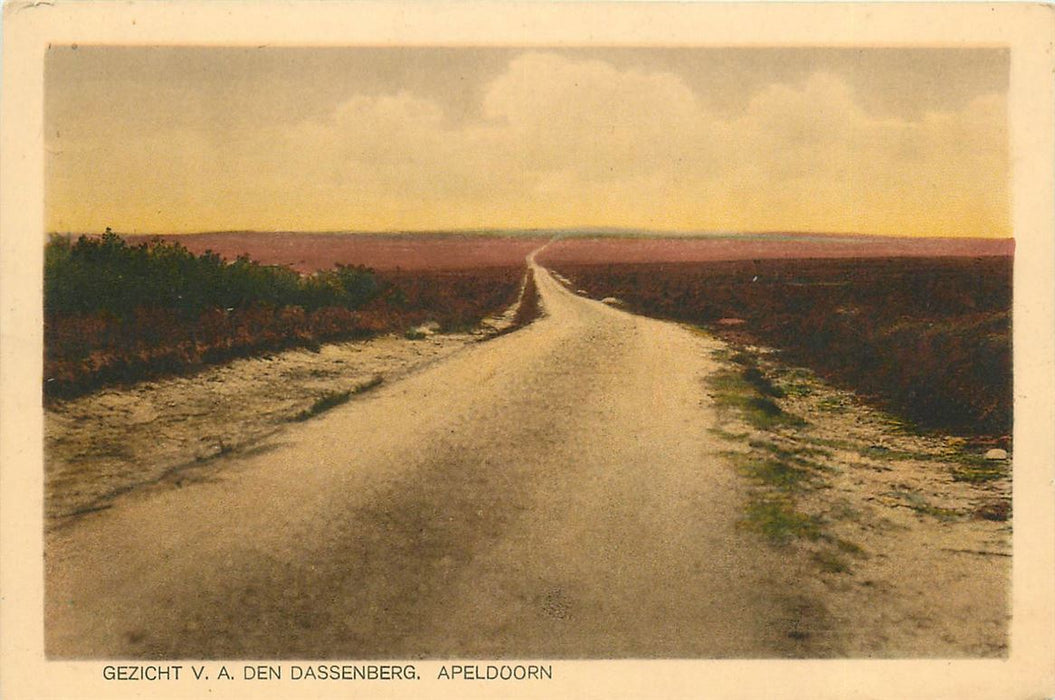 Apeldoorn Gezicht v a den Dassenberg