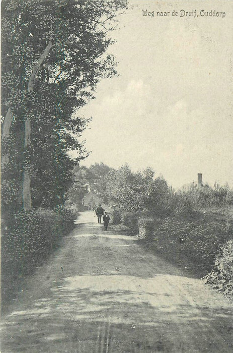 Ouddorp Weg naar de Druif