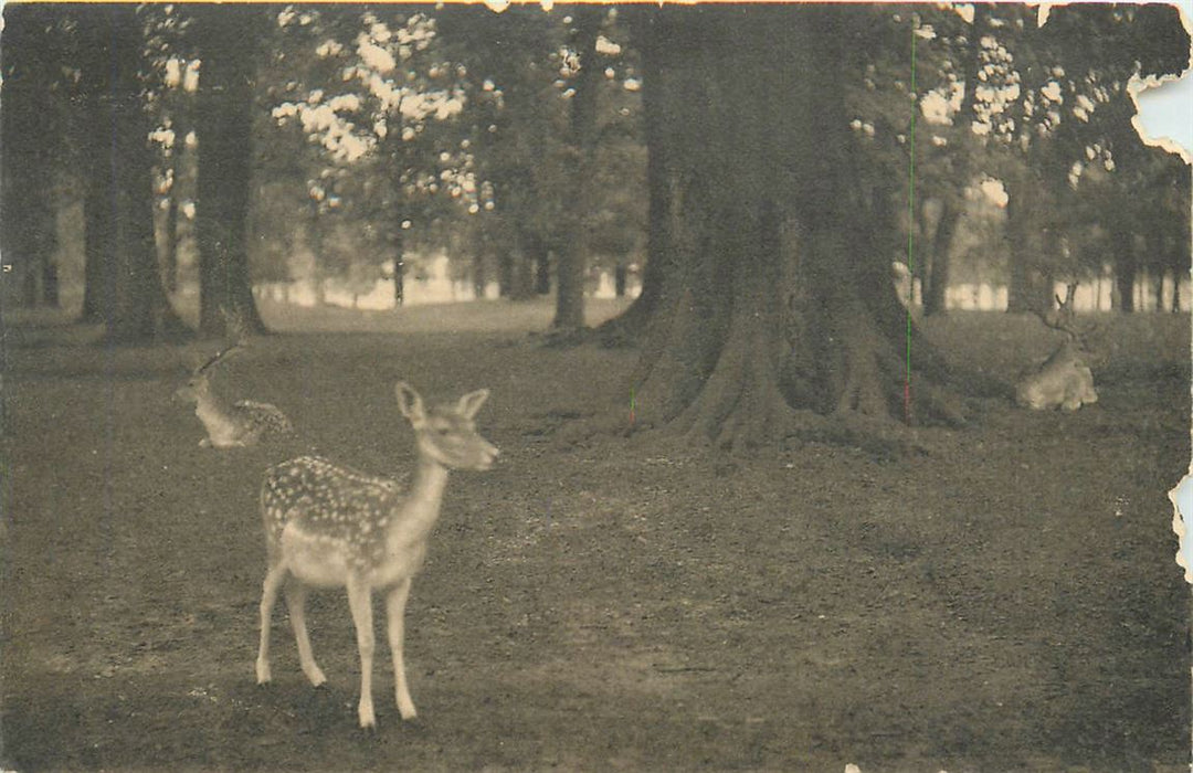 Den Haag Hertenkamp