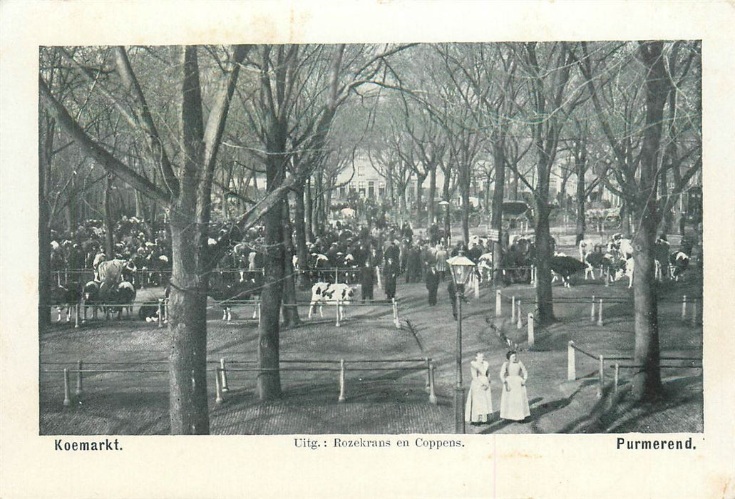 Purmerend Koemarkt