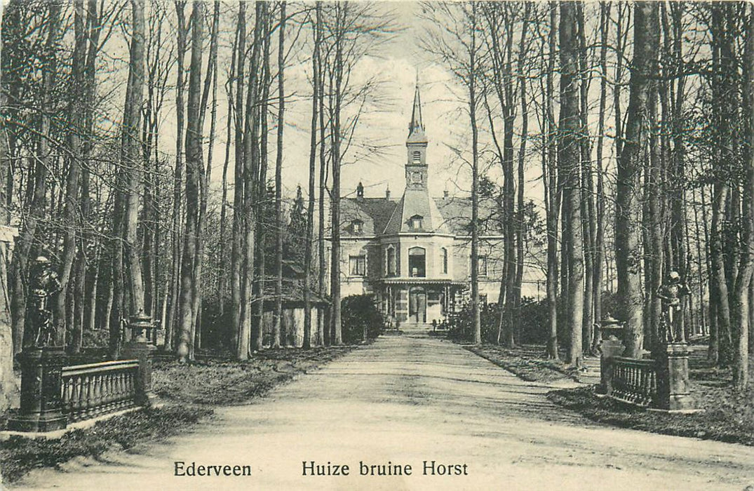 Ederveen Huize Bruine Horst