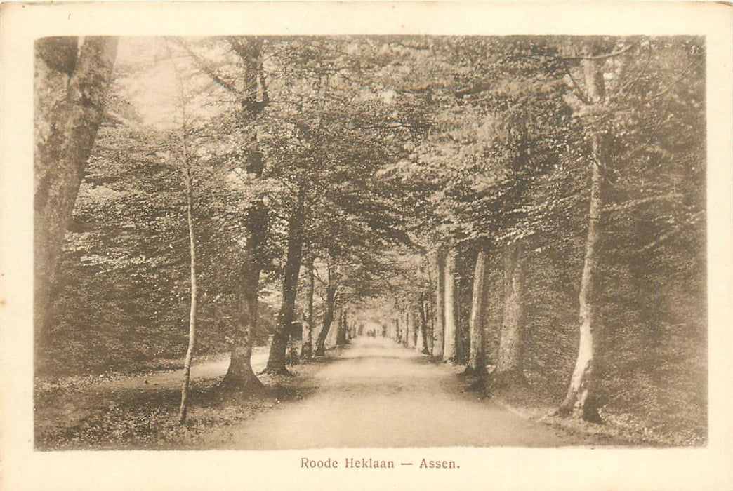 Assen Roode Heklaan