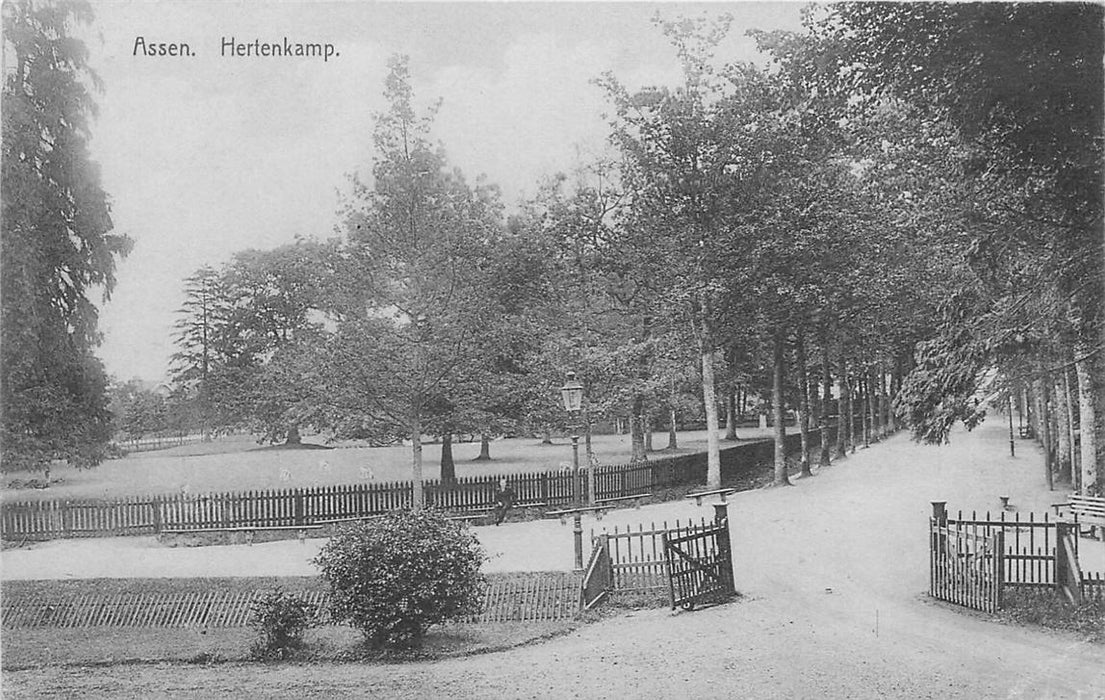 Assen Hertenkamp