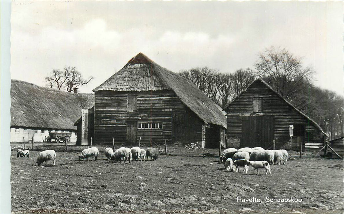 Havelte Schaapskooi
