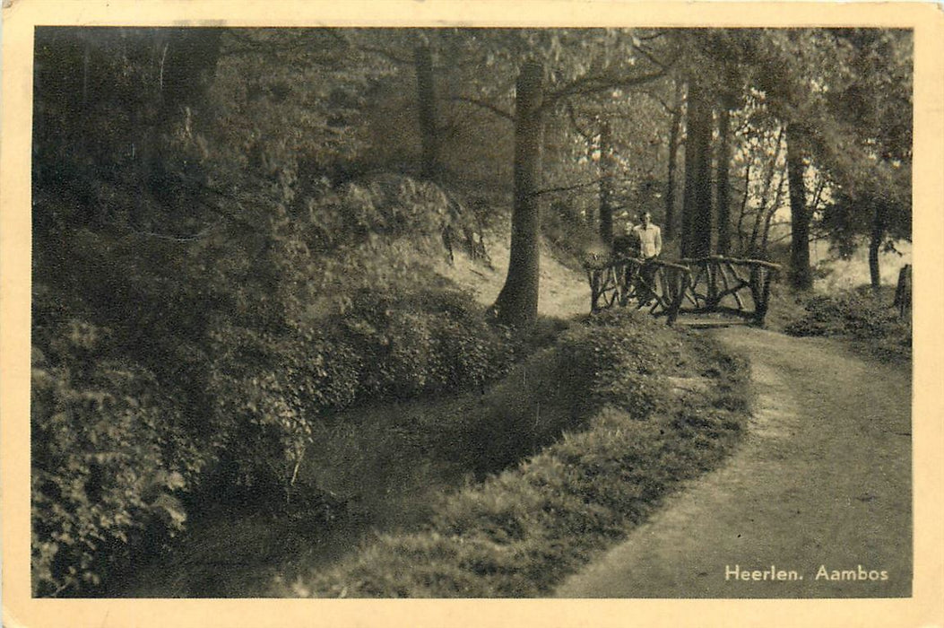 Heerlen Aambos
