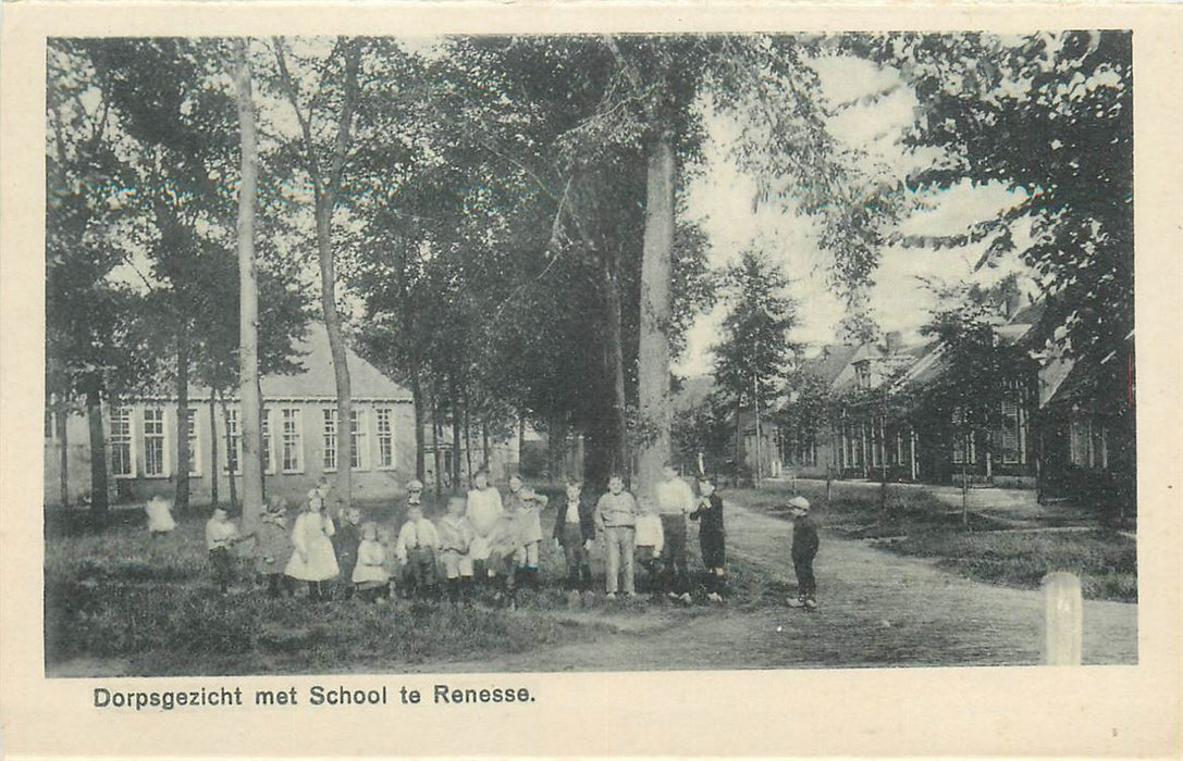 Renesse School