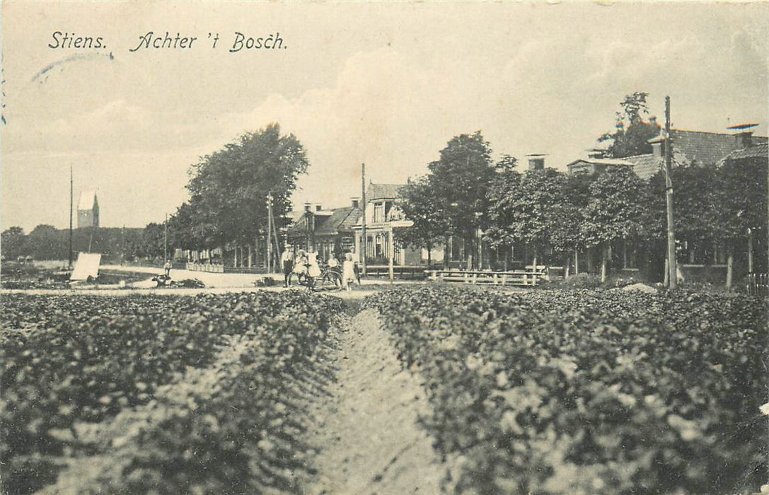 Stiens  Achter t Bosch